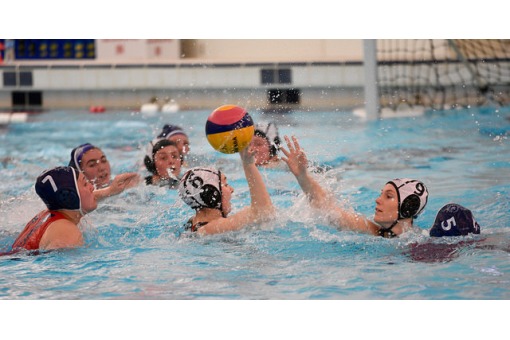 Stan Calvert 2017 Preview: Waterpolo