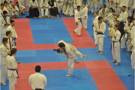 Northumbria Student's Sixth Sensei