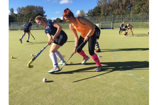 Vice President Write Up: NEW NORTH PROGRAMME
