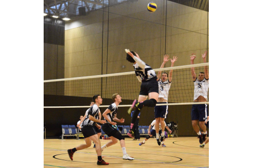 Northumbria Seal Super 8s Treble